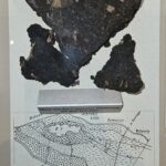 Das Moor in der Conventer Niederung